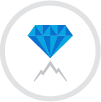 Diamond Summit Seal | Peak Performance Program